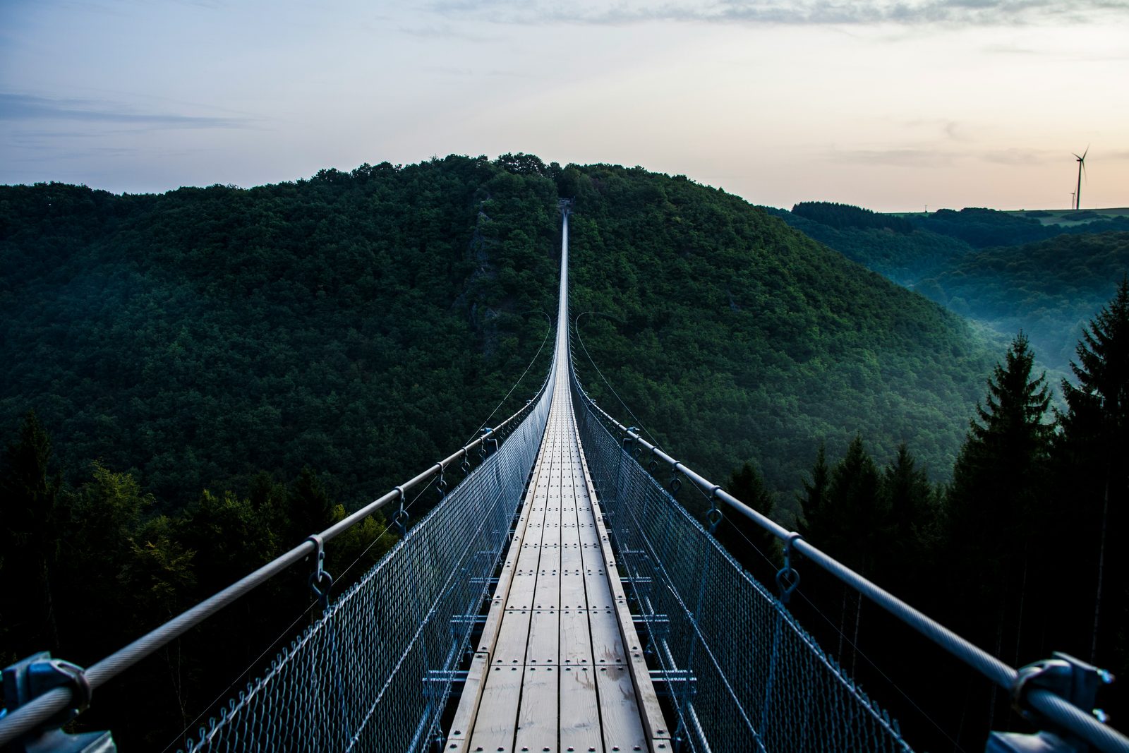 A long suspension footbridge stretching across a forested valley toward a hill at dusk.